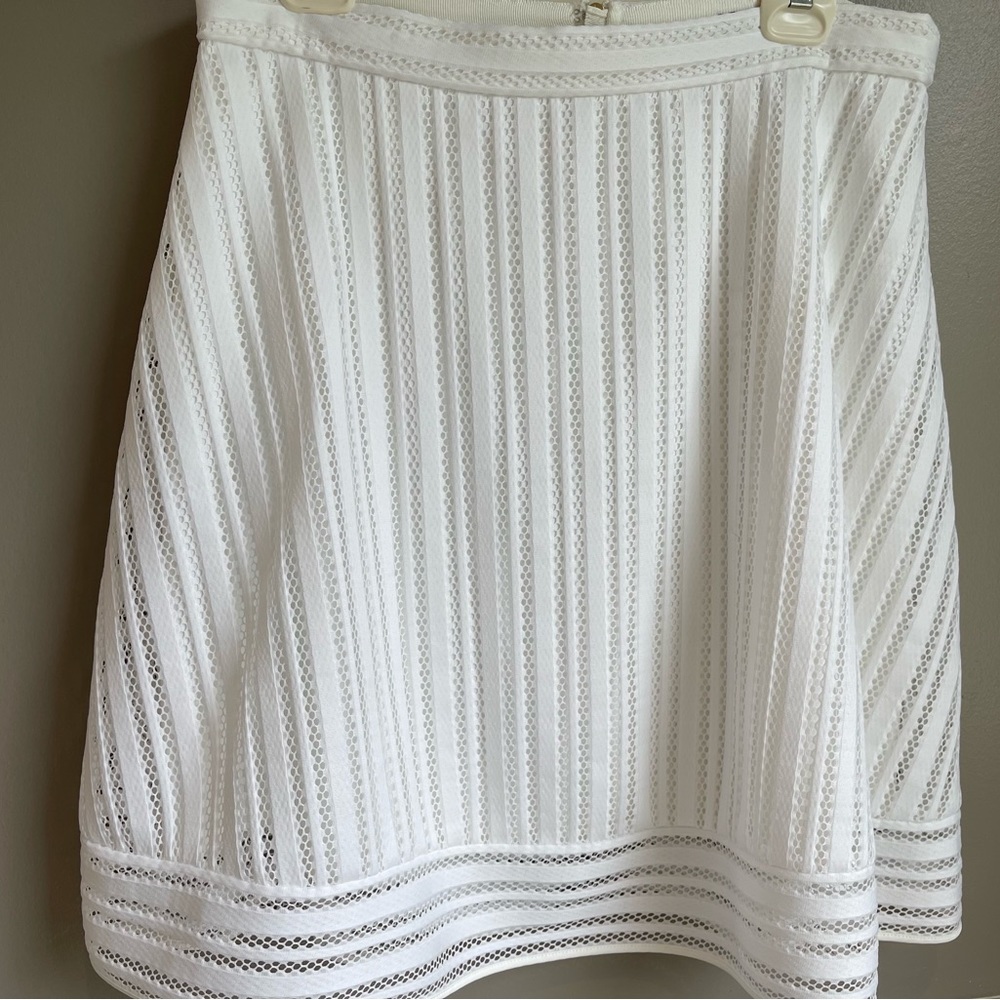 EUC J. Crew Striped Eyelet Skirt